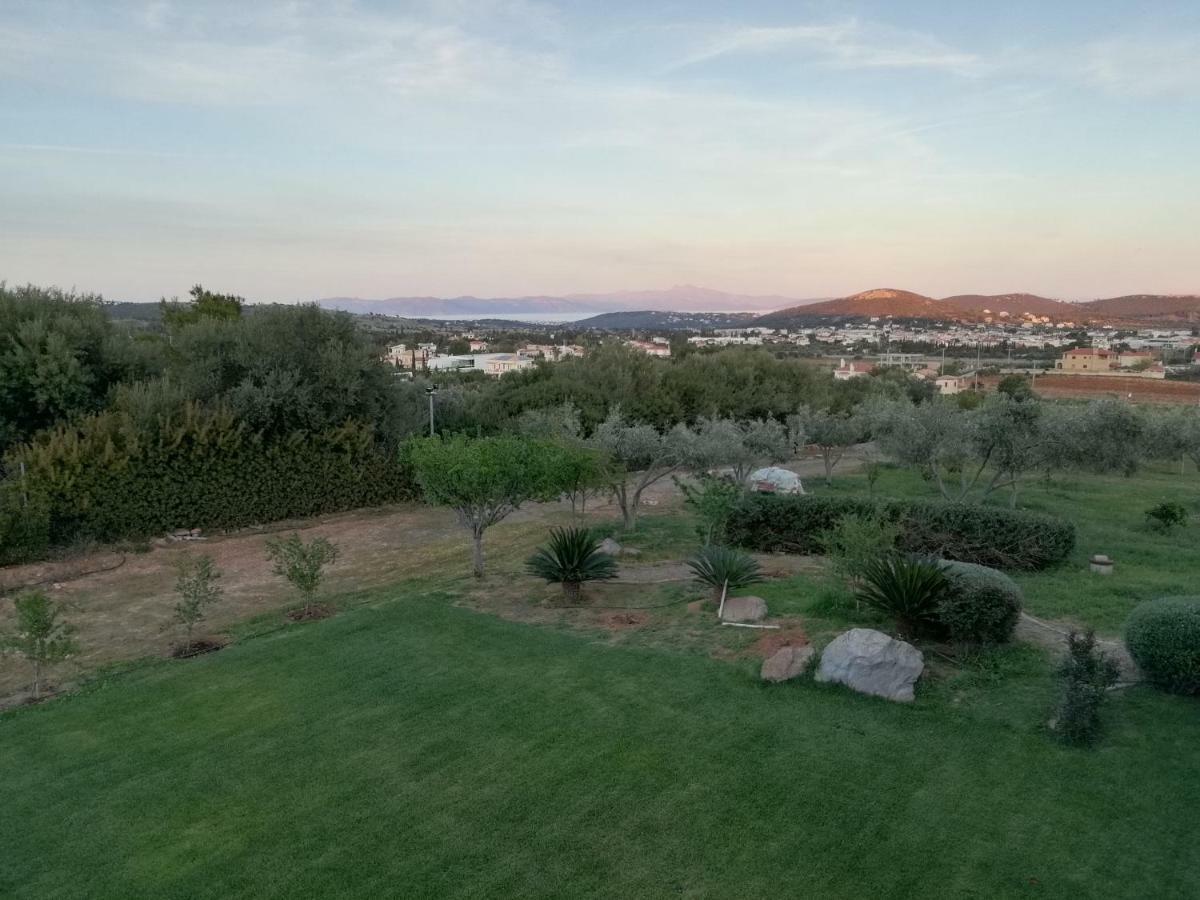 Dimitra Otel Rafína Dış mekan fotoğraf