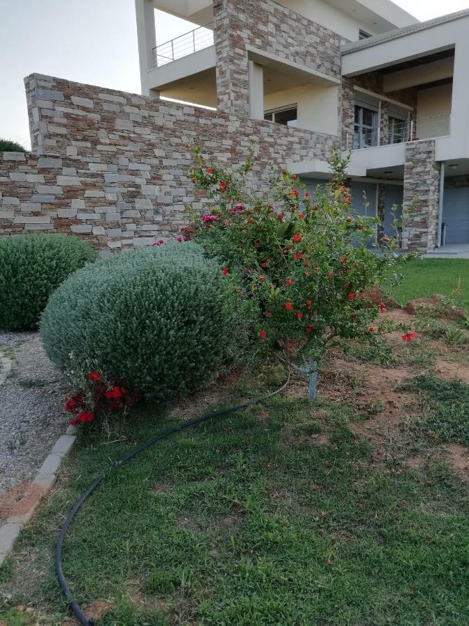 Dimitra Otel Rafína Dış mekan fotoğraf