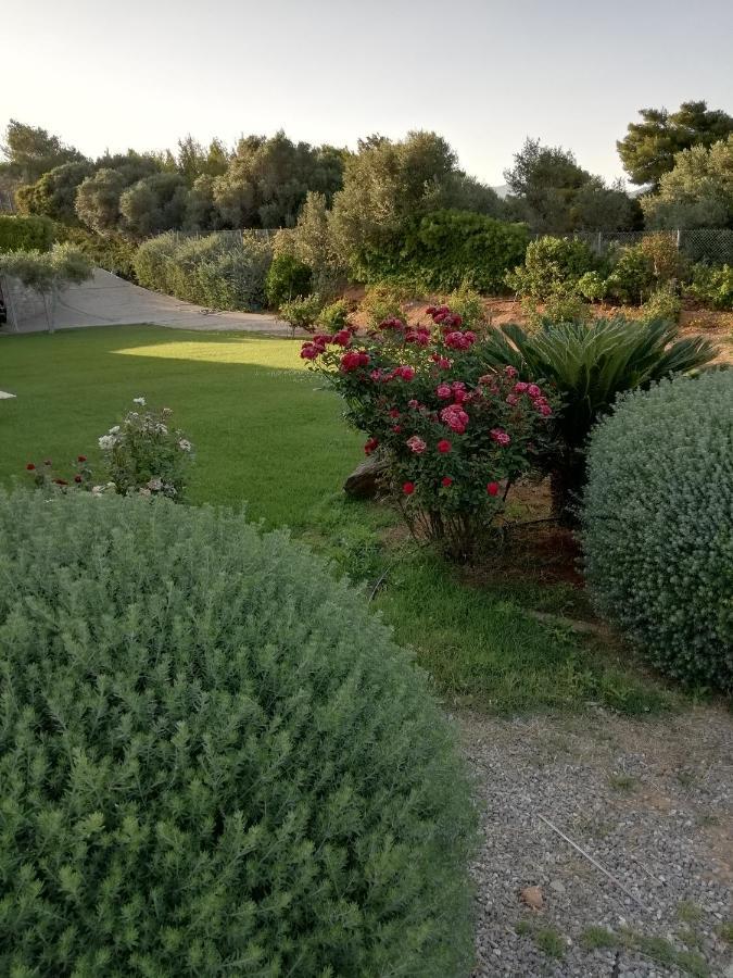 Dimitra Otel Rafína Dış mekan fotoğraf